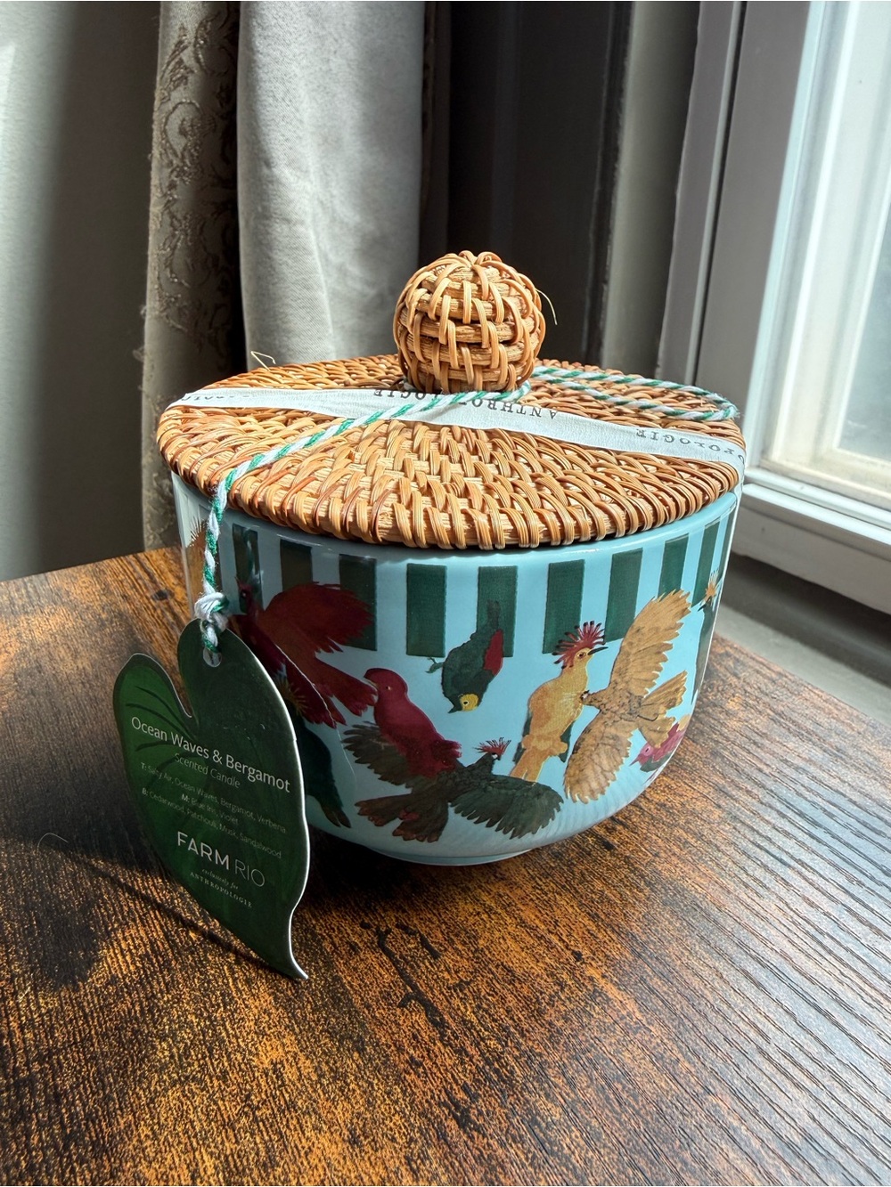 NWT Farm Rio x Anthropologie Blue and Bird Ceramic Jar Candle w/ Woven Lid